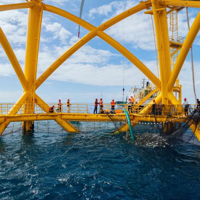 Offshore-fish-farm-integrated-into-a-wind-turbine-platform